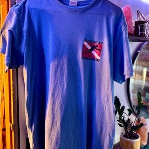 Graphic Image Blue Short Sleeve Tee Cotton Comfort
